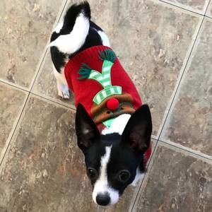 Meet your Posher, Tamara